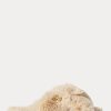 Beige Women’s Ralph Lauren Sydni Faux-Fur Flat Shoes Beige Women’s Ralph Lauren Sydni Faux-Fur Flat Shoes