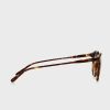 Brown Men’s Ralph Lauren 0Ph4110 Round Sunglasses Brown Men’s Ralph Lauren 0Ph4110 Round Sunglasses