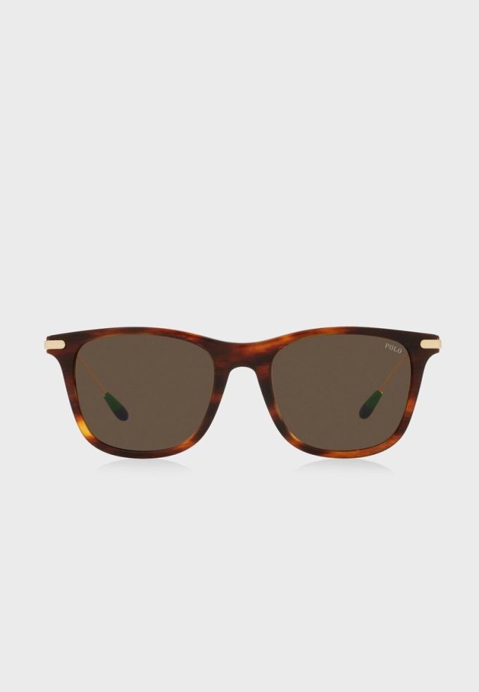 Brown Men’s Ralph Lauren 0Ph4179U Aviator Sunglasses