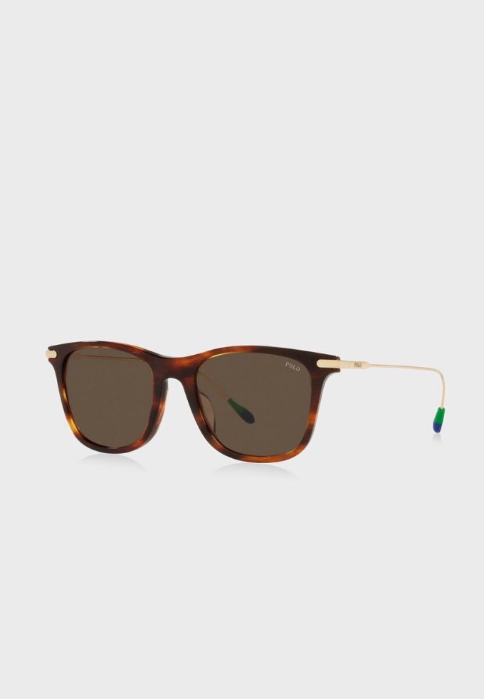 Brown Men’s Ralph Lauren 0Ph4179U Aviator Sunglasses