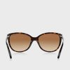 Brown Women’s Ralph Lauren 0RA5160 Butterfly Sunglasses