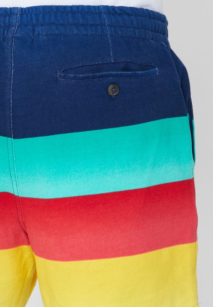 Multicolor Men’s Ralph Lauren Color Block Shorts Multicolor Men’s Ralph Lauren Color Block Shorts